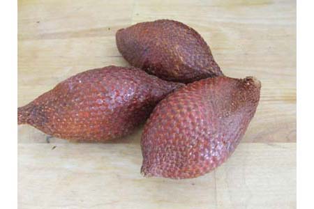 salak salak Le salak découverte du jour