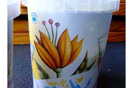glaces-vegan-1.jpg