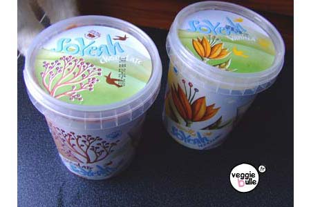 glaces-vegan-2.jpg