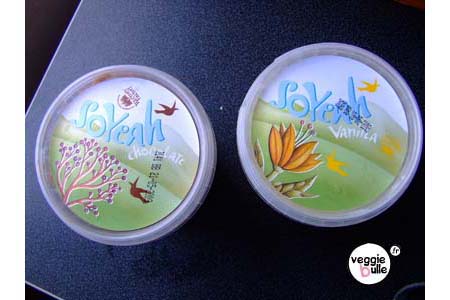 glaces-vegan.jpg