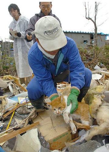 animaux-japon animaux-japon