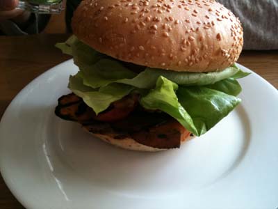 gbk-1 gbk-1