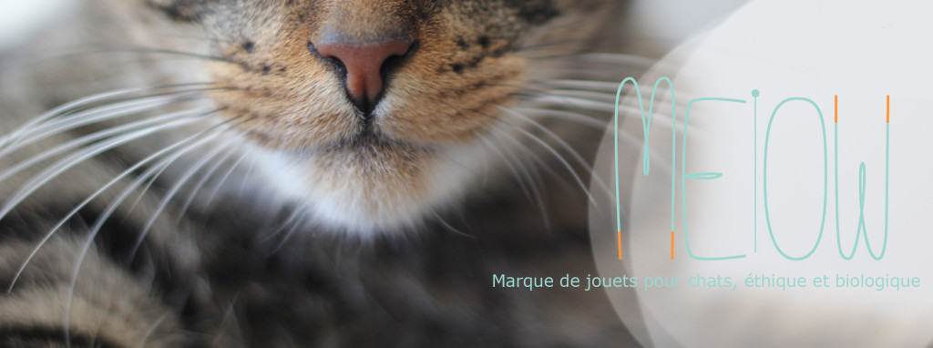 MEIOW 1