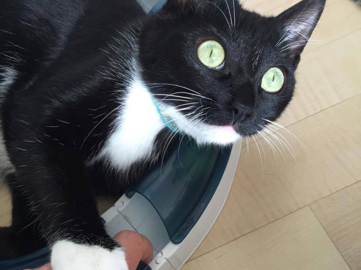 Adoption : Romy cherche sa famille pour la vie !