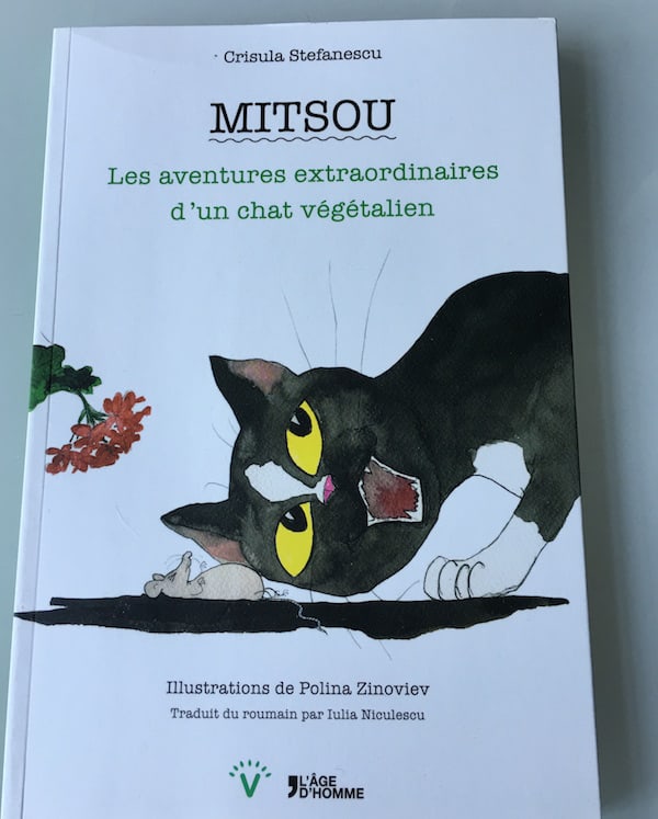 mitsou-chat-vegetarien-1