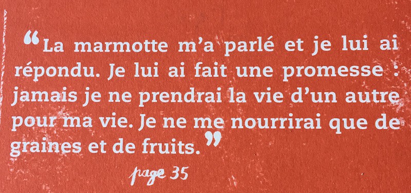 promesse-mirto-5