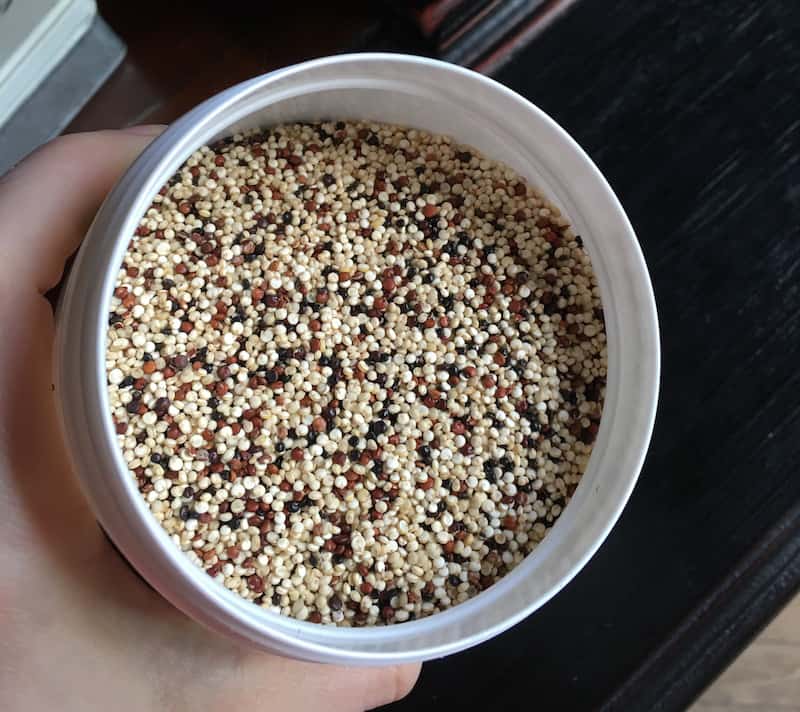 quinoa-tricolore-nu3-2