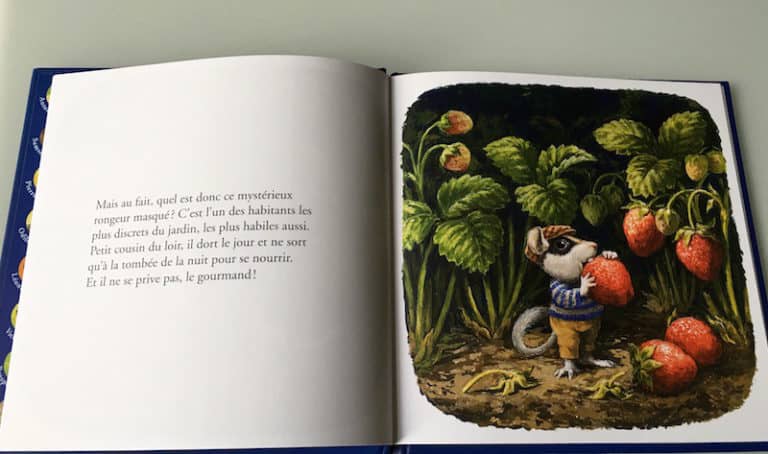 Léo A Ramassé Des Fraises Pour Faire De La Confiture