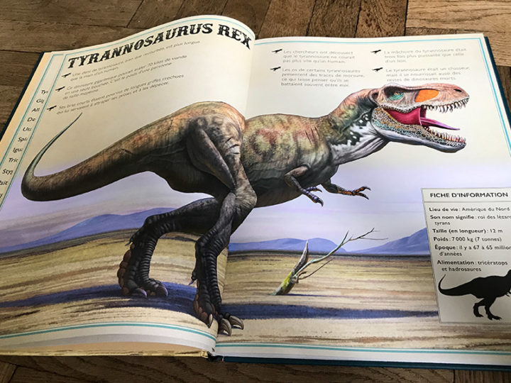 Deux super livres sur les dinosaures, mais pas seulement !