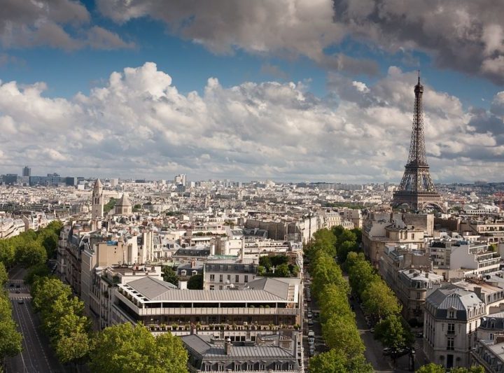Focus sur le Paris Vegan Festival