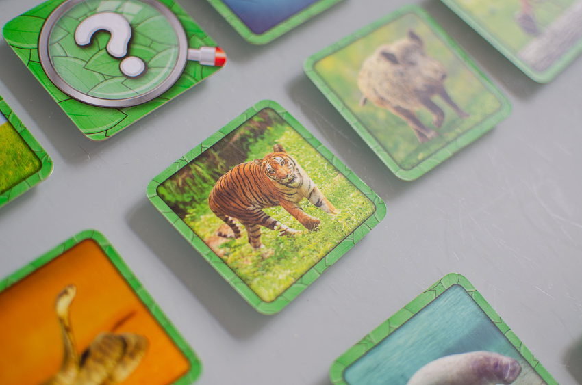 Cartes du jeu Specific