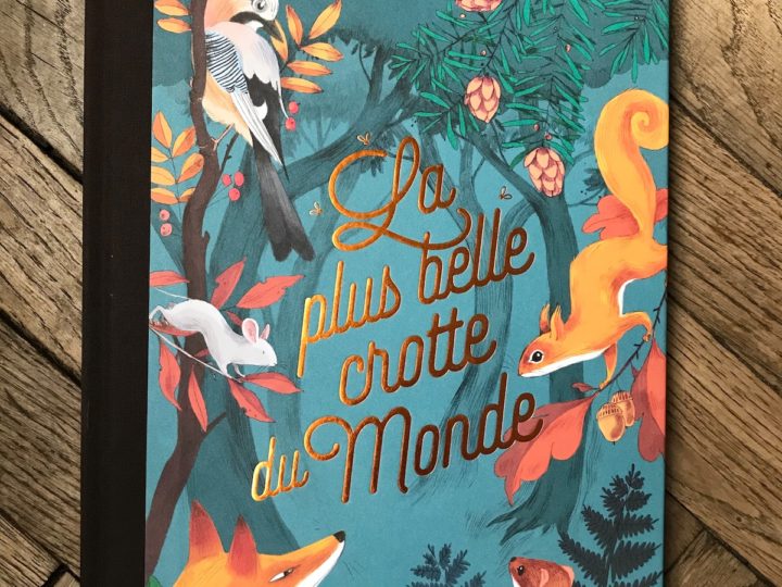 Les animaux : nos héros favoris