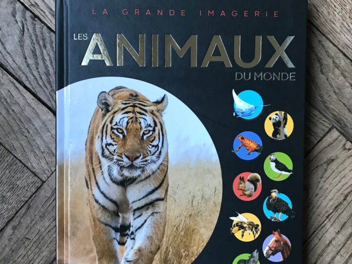 Livre enfant : tout savoir sur les animaux