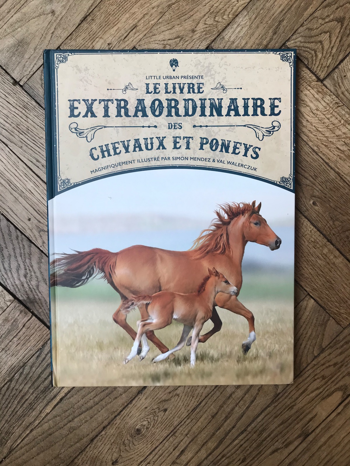 Le livre extraordinaire des chevaux et poneys - Little Urban