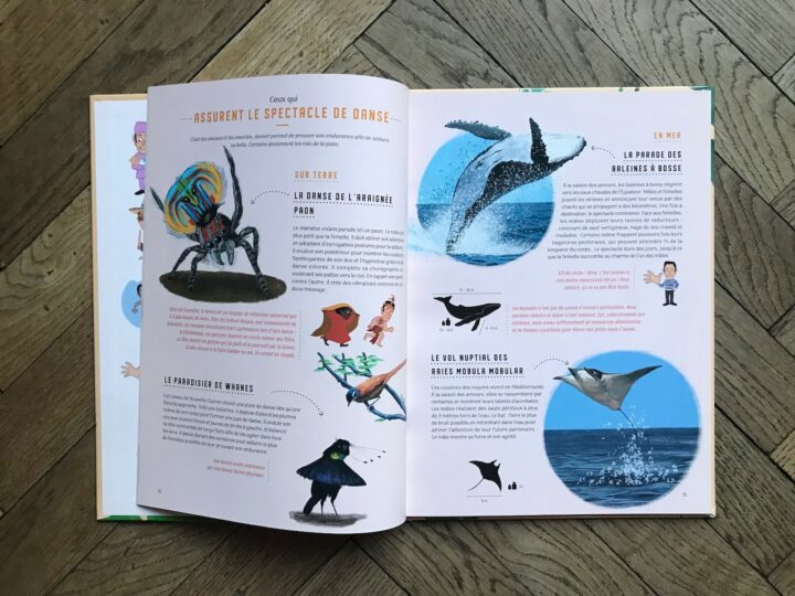 Livres enfant : comment en savoir plus sur les animaux ?